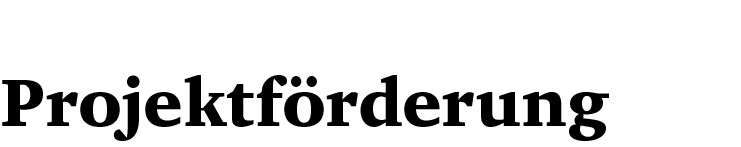 Projektf rderung