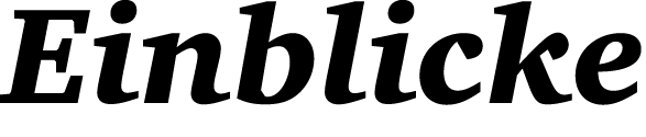 Einblicke