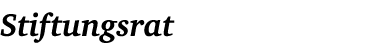 Stiftungsrat