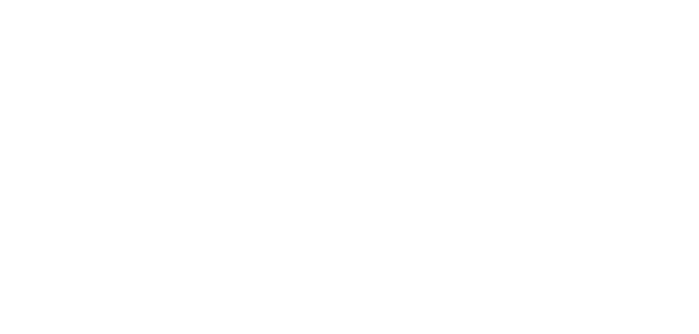 Die Stiftung
