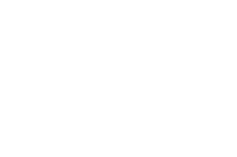 Wirkungskreis­ bergreifende F rderung