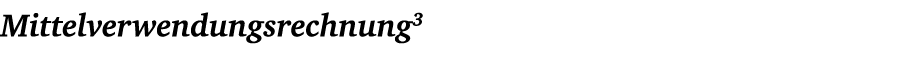 Mittelverwendungsrechnung3