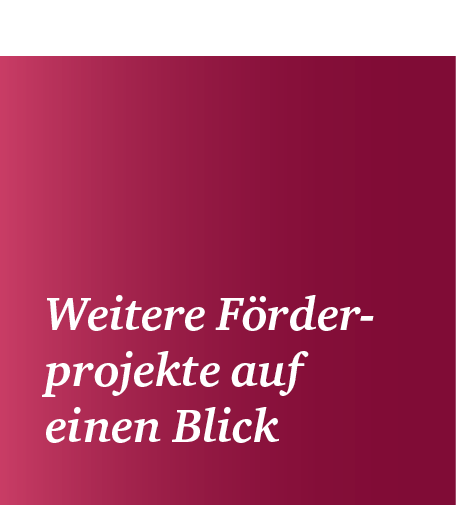 Weitere ­F rder­ ­­projekte auf ­einen Blick